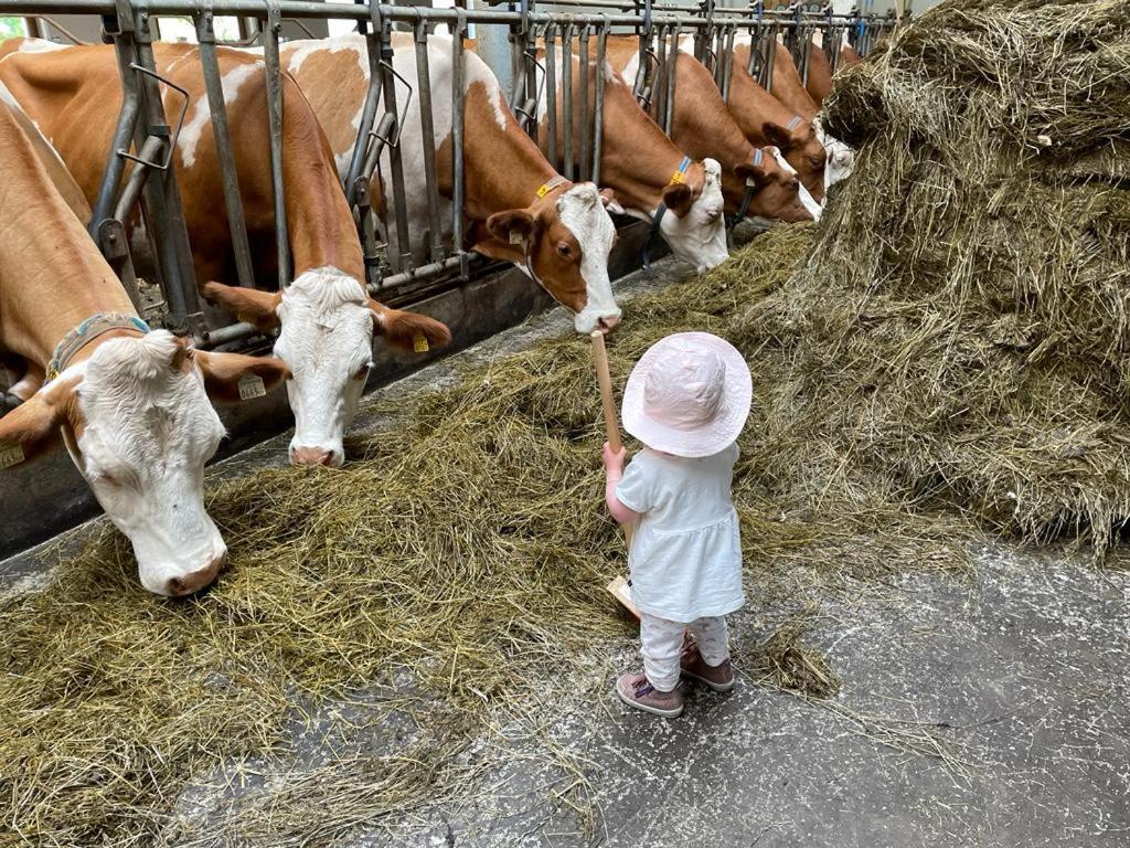 Ferienparadies Taxen Sankt Veit im Pongau Exterior photo