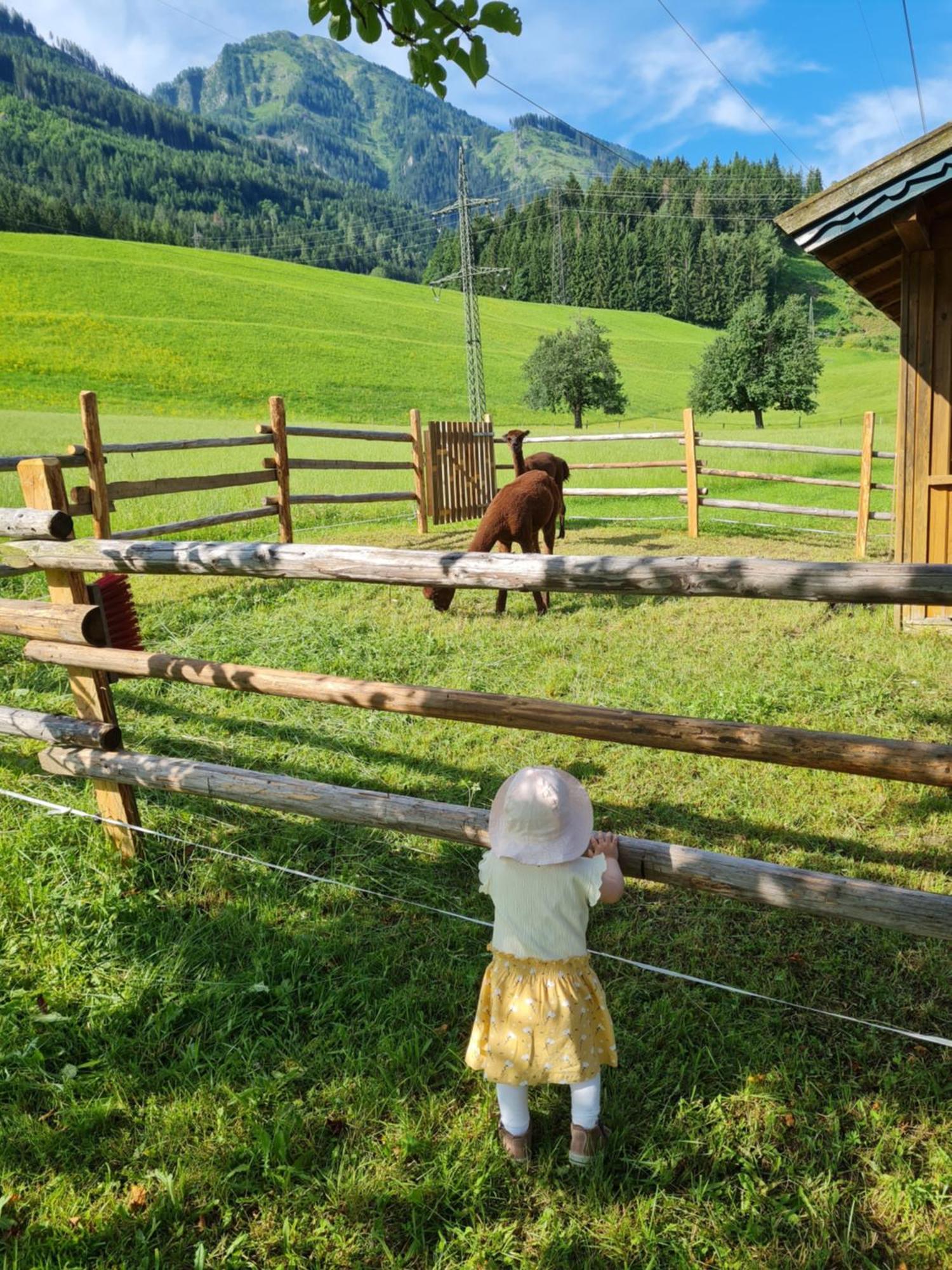 Ferienparadies Taxen Sankt Veit im Pongau Exterior photo