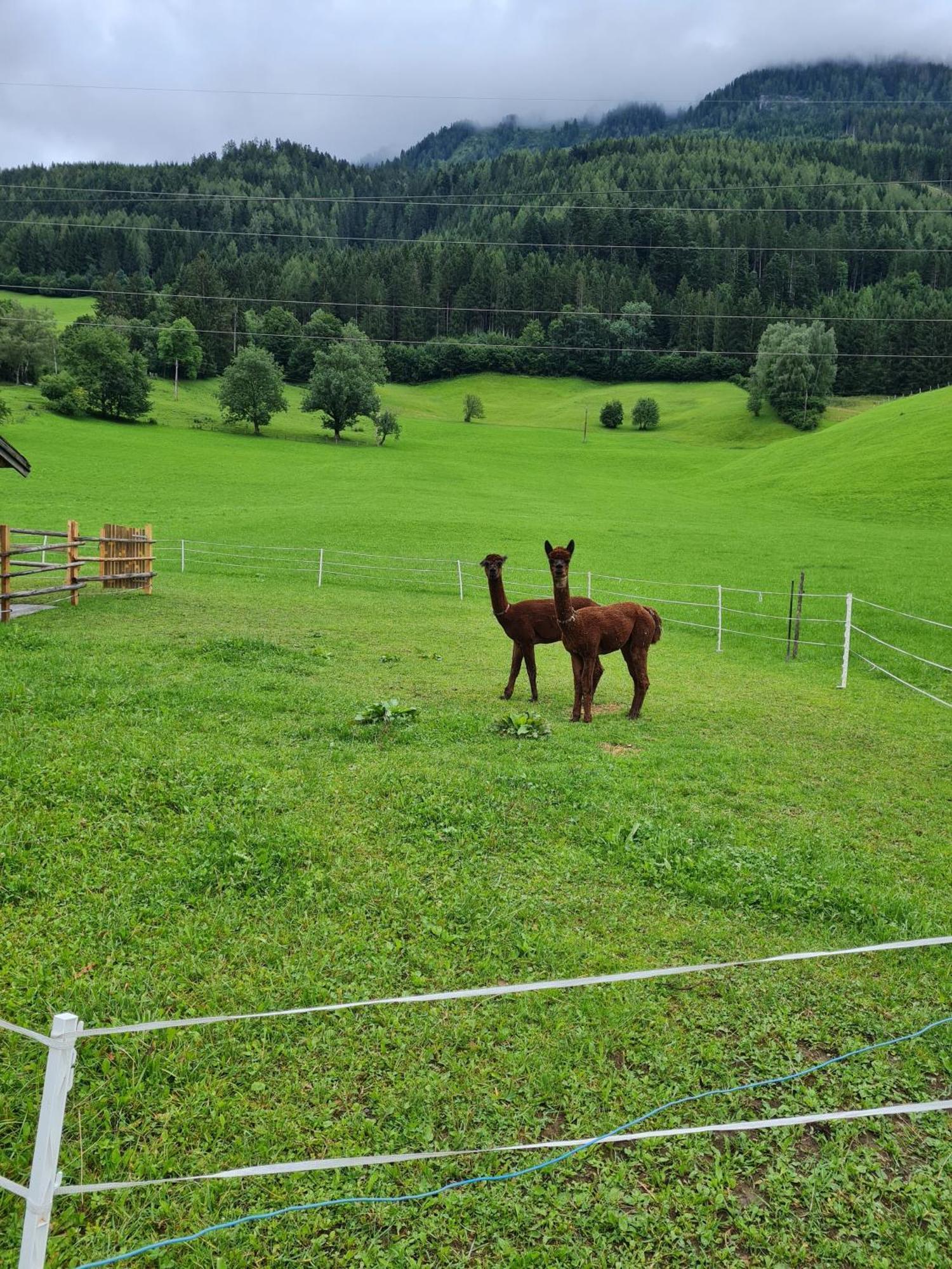 Ferienparadies Taxen Sankt Veit im Pongau Exterior photo
