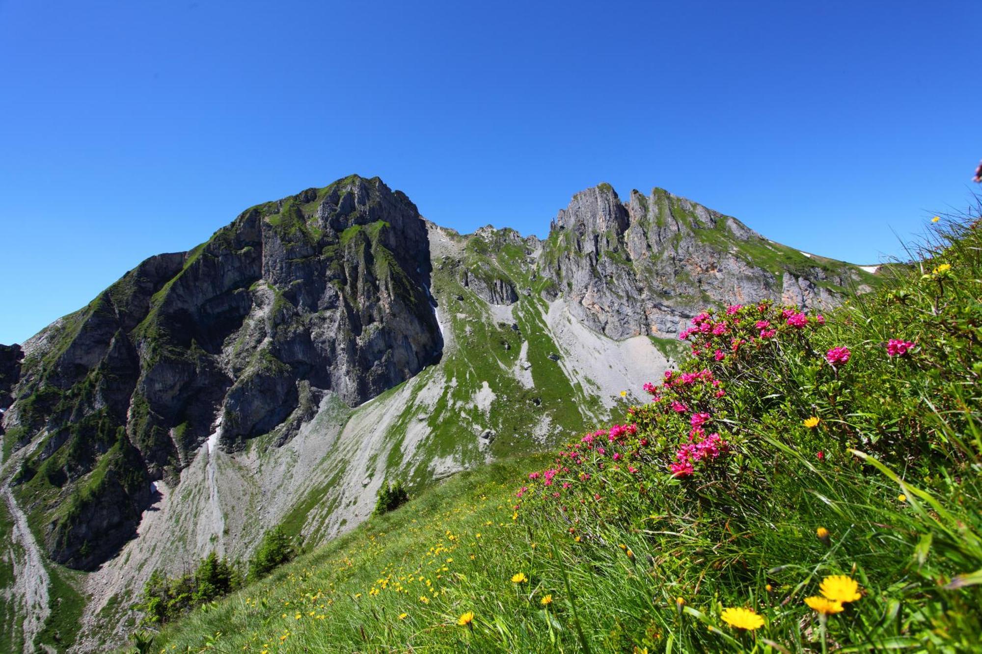 Ferienparadies Taxen Sankt Veit im Pongau Exterior photo