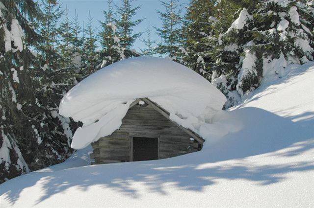 Ferienparadies Taxen Sankt Veit im Pongau Exterior photo